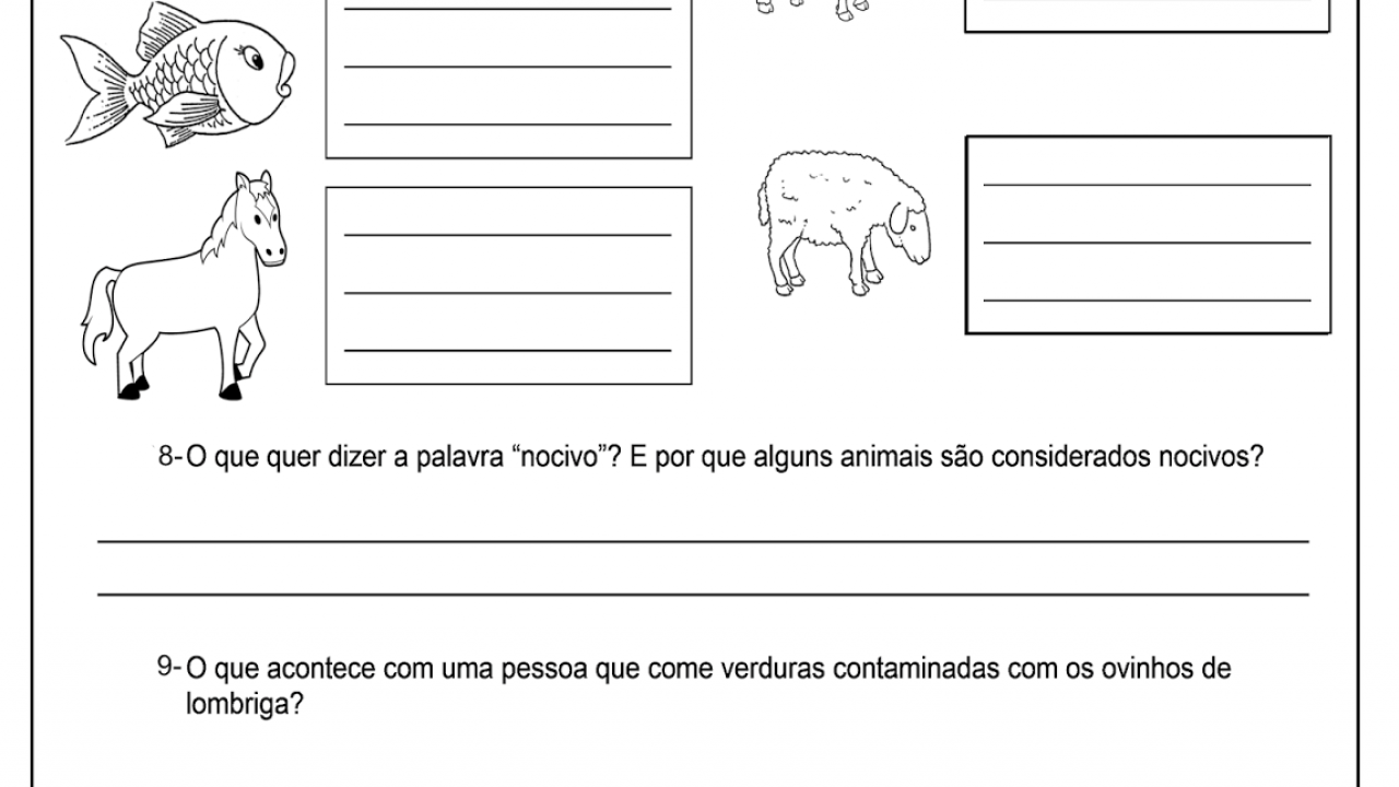 Plano De Aula Sobre Animais Invertebrados Ano Pdmrea The Best Porn Website