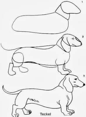 Como desenhar animal passo a passo