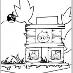 Desenho do Angry Birds para colorir