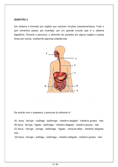 Sistemas digestivo - Exercícios para imprimir