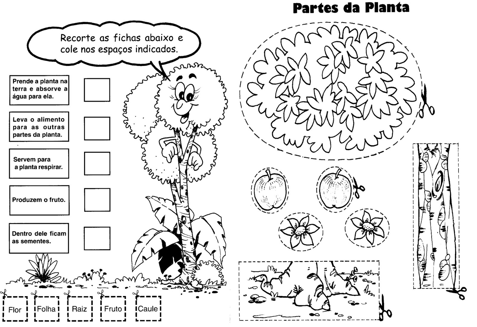 Atividades sobre as Plantas - Educação Infantil