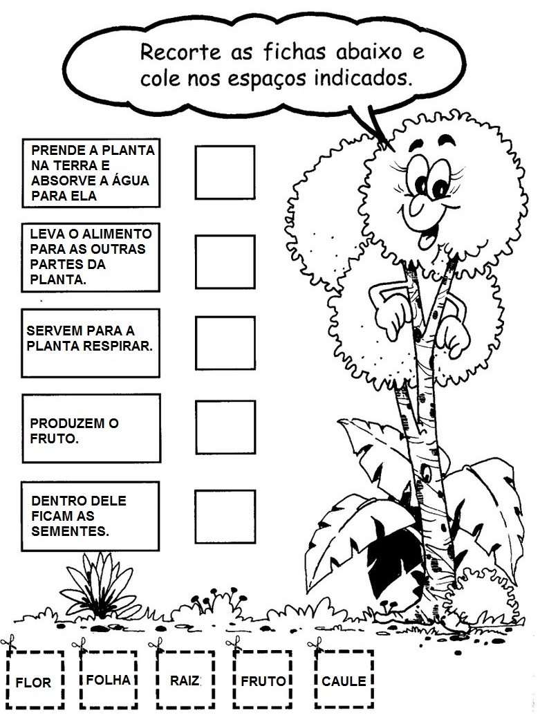 Atividades sobre as Plantas - Educação Infantil