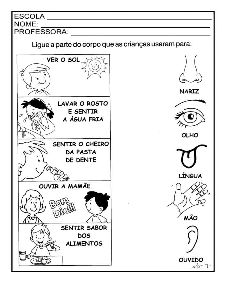 Atividades sobre Órgãos dos Sentidos para Educação Infantil
