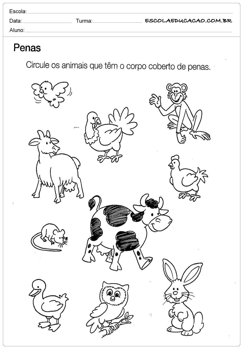 10 Atividades Sobre Animais Para Educação Infantil