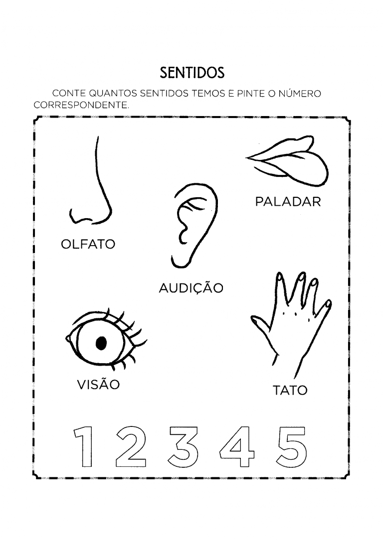 Atividades sobre Órgãos dos Sentidos para Educação Infantil